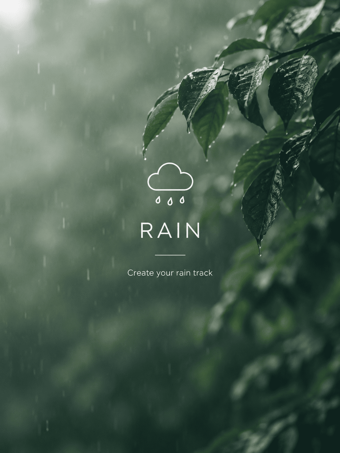 Calming Rain