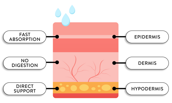 NUYU magnesium spray skin absorption diagram showing epidermis dermis hypodermis layers UK