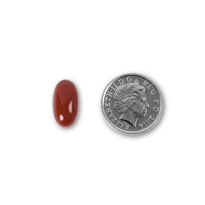 NUYU CoQ10 softgel next to UK coin showing size of wellness supplement capsule