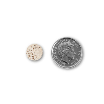 NUYU wellness supplement UK tablet shown next to coin for size comparison on white background