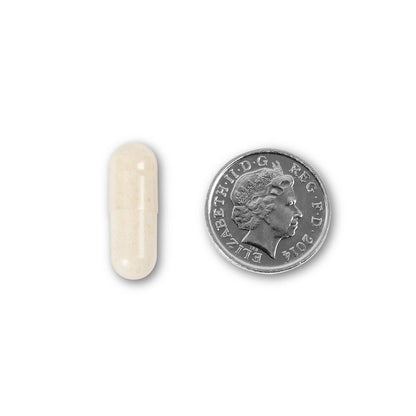 NUYU gut health supplement UK capsule size comparison with British coin on white background