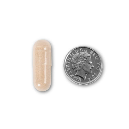NUYU L-Theanine capsule next to UK coin showing wellness supplement size comparison