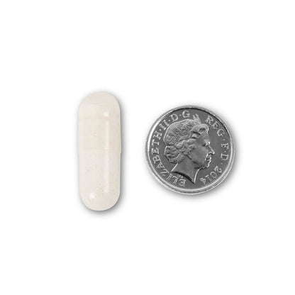 NUYU NMN supplement UK capsule size comparison with British coin showing compact tablet
