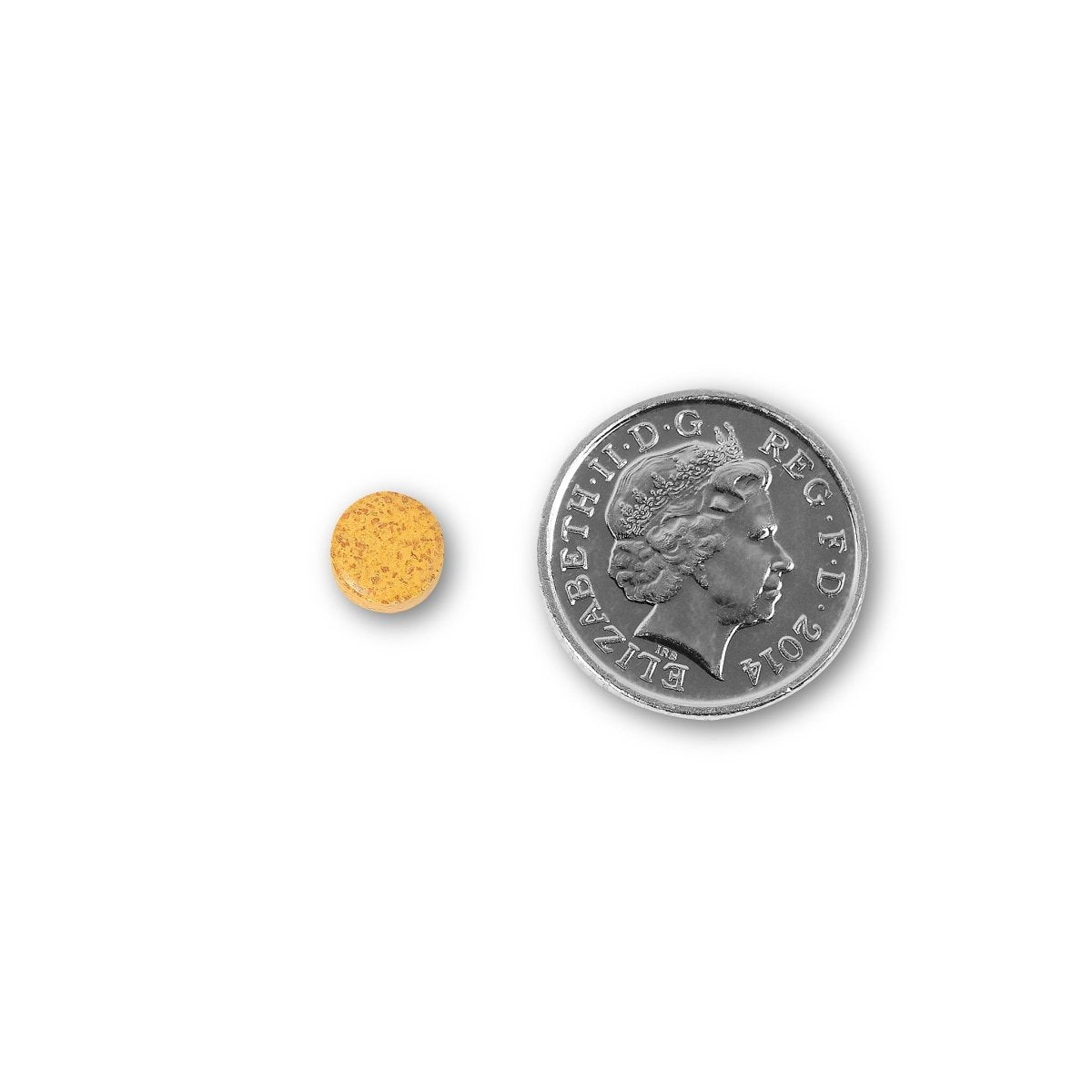 NUYU turmeric supplement UK size comparison with coin showing small tablet form